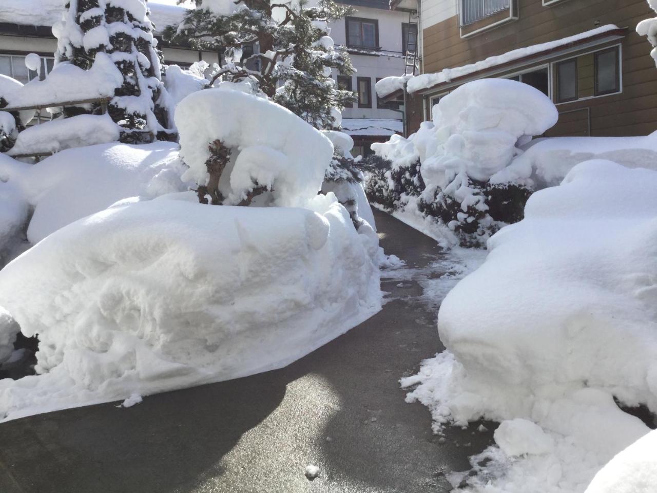 Tobei Hotel Nozawaonsen Exterior foto